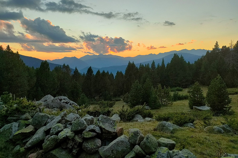 Gasopas, amb el medi ambient